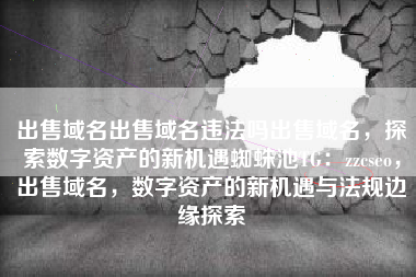 出售域名出售域名违法吗出售域名，探索数字资产的新机遇蜘蛛池TG：zzcseo，出售域名，数字资产的新机遇与法规边缘探索
