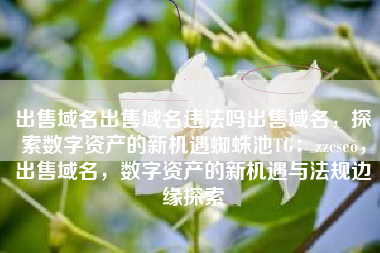 出售域名出售域名违法吗出售域名，探索数字资产的新机遇蜘蛛池TG：zzcseo，出售域名，数字资产的新机遇与法规边缘探索