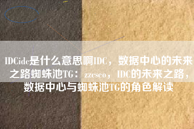 IDCidc是什么意思啊IDC，数据中心的未来之路蜘蛛池TG：zzcseo，IDC的未来之路，数据中心与蜘蛛池TG的角色解读