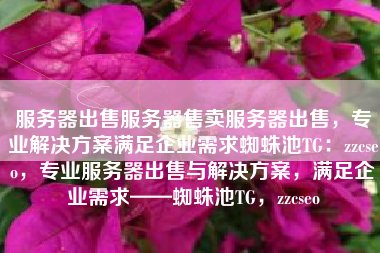服务器出售服务器售卖服务器出售，专业解决方案满足企业需求蜘蛛池TG：zzcseo，专业服务器出售与解决方案，满足企业需求——蜘蛛池TG，zzcseo