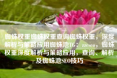 蜘蛛权重蜘蛛权重查询蜘蛛权重，深度解析与策略应用蜘蛛池TG：zzcseo，蜘蛛权重深度解析与策略应用，查询、解析及蜘蛛池SEO技巧