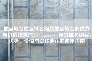 便宜域名便宜域名购买便宜域名的优势与价值蜘蛛池TG：zzcseo，便宜域名购买，优势、价值与蜘蛛池TG的使用指南