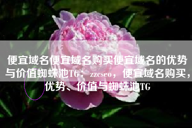 便宜域名便宜域名购买便宜域名的优势与价值蜘蛛池TG：zzcseo，便宜域名购买，优势、价值与蜘蛛池TG