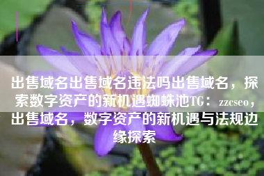 出售域名出售域名违法吗出售域名，探索数字资产的新机遇蜘蛛池TG：zzcseo，出售域名，数字资产的新机遇与法规边缘探索