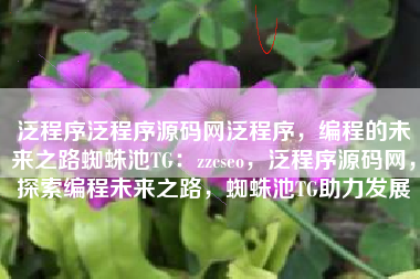 泛程序泛程序源码网泛程序，编程的未来之路蜘蛛池TG：zzcseo，泛程序源码网，探索编程未来之路，蜘蛛池TG助力发展
