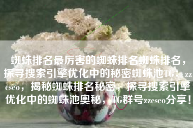 蜘蛛排名最厉害的蜘蛛排名蜘蛛排名，探寻搜索引擎优化中的秘密蜘蛛池TG：zzcseo，揭秘蜘蛛排名秘密，探寻搜索引擎优化中的蜘蛛池奥秘，TG群号zzcseo分享！