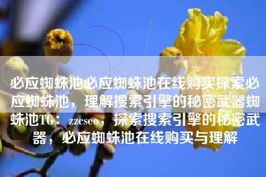 必应蜘蛛池必应蜘蛛池在线购买探索必应蜘蛛池，理解搜索引擎的秘密武器蜘蛛池TG：zzcseo，探索搜索引擎的秘密武器，必应蜘蛛池在线购买与理解