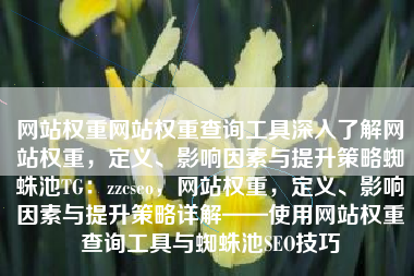 网站权重网站权重查询工具深入了解网站权重，定义、影响因素与提升策略蜘蛛池TG：zzcseo，网站权重，定义、影响因素与提升策略详解——使用网站权重查询工具与蜘蛛池SEO技巧