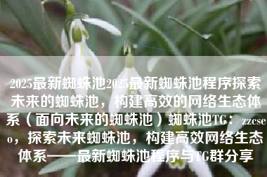2025最新蜘蛛池2025最新蜘蛛池程序探索未来的蜘蛛池，构建高效的网络生态体系（面向未来的蜘蛛池）蜘蛛池TG：zzcseo，探索未来蜘蛛池，构建高效网络生态体系——最新蜘蛛池程序与TG群分享