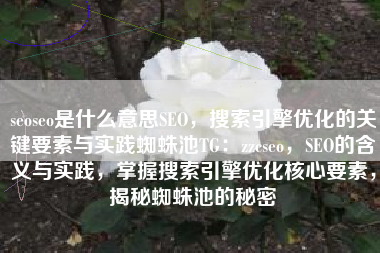 seoseo是什么意思SEO，搜索引擎优化的关键要素与实践蜘蛛池TG：zzcseo，SEO的含义与实践，掌握搜索引擎优化核心要素，揭秘蜘蛛池的秘密