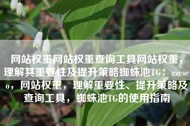 网站权重网站权重查询工具网站权重，理解其重要性及提升策略蜘蛛池TG：zzcseo，网站权重，理解重要性、提升策略及查询工具，蜘蛛池TG的使用指南