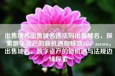 出售域名出售域名违法吗出售域名，探索数字资产的新机遇蜘蛛池TG：zzcseo，出售域名，数字资产的新机遇与法规边缘探索
