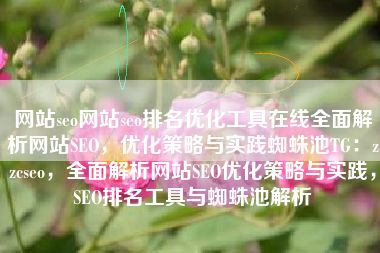 网站seo网站seo排名优化工具在线全面解析网站SEO，优化策略与实践蜘蛛池TG：zzcseo，全面解析网站SEO优化策略与实践，SEO排名工具与蜘蛛池解析