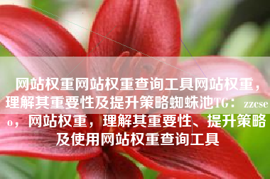 网站权重网站权重查询工具网站权重，理解其重要性及提升策略蜘蛛池TG：zzcseo，网站权重，理解其重要性、提升策略及使用网站权重查询工具