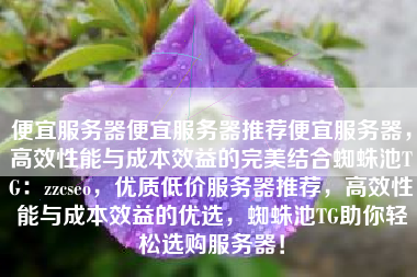 便宜服务器便宜服务器推荐便宜服务器，高效性能与成本效益的完美结合蜘蛛池TG：zzcseo，优质低价服务器推荐，高效性能与成本效益的优选，蜘蛛池TG助你轻松选购服务器！