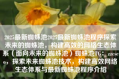 2025最新蜘蛛池2025最新蜘蛛池程序探索未来的蜘蛛池，构建高效的网络生态体系（面向未来的蜘蛛池）蜘蛛池TG：zzcseo，探索未来蜘蛛池技术，构建高效网络生态体系与最新蜘蛛池程序介绍