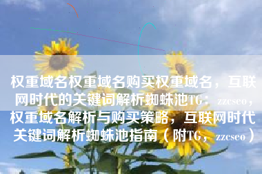 权重域名权重域名购买权重域名，互联网时代的关键词解析蜘蛛池TG：zzcseo，权重域名解析与购买策略，互联网时代关键词解析蜘蛛池指南（附TG，zzcseo）