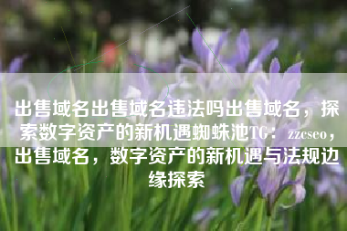 出售域名出售域名违法吗出售域名，探索数字资产的新机遇蜘蛛池TG：zzcseo，出售域名，数字资产的新机遇与法规边缘探索