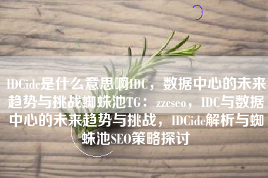 IDCidc是什么意思啊IDC，数据中心的未来趋势与挑战蜘蛛池TG：zzcseo，IDC与数据中心的未来趋势与挑战，IDCidc解析与蜘蛛池SEO策略探讨