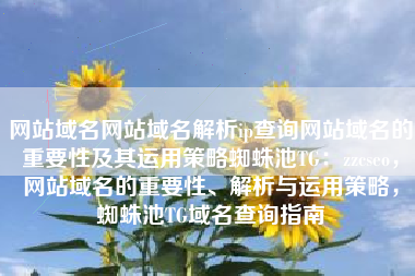 网站域名网站域名解析ip查询网站域名的重要性及其运用策略蜘蛛池TG：zzcseo，网站域名的重要性、解析与运用策略，蜘蛛池TG域名查询指南