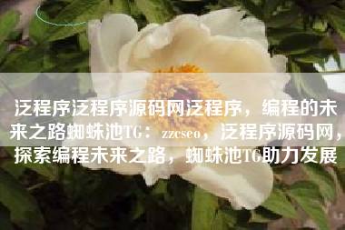 泛程序泛程序源码网泛程序，编程的未来之路蜘蛛池TG：zzcseo，泛程序源码网，探索编程未来之路，蜘蛛池TG助力发展