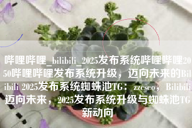 哔哩哔哩_bilibili_2025发布系统哔哩哔哩2050哔哩哔哩发布系统升级，迈向未来的Bilibili 2025发布系统蜘蛛池TG：zzcseo，Bilibili迈向未来，2025发布系统升级与蜘蛛池TG新动向