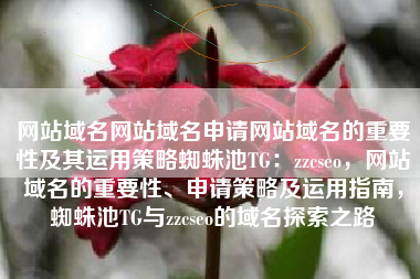 网站域名网站域名申请网站域名的重要性及其运用策略蜘蛛池TG：zzcseo，网站域名的重要性、申请策略及运用指南，蜘蛛池TG与zzcseo的域名探索之路