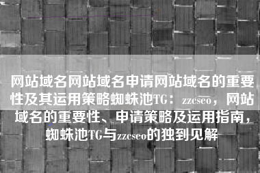 网站域名网站域名申请网站域名的重要性及其运用策略蜘蛛池TG：zzcseo，网站域名的重要性、申请策略及运用指南，蜘蛛池TG与zzcseo的独到见解