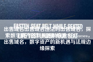 出售域名出售域名违法吗出售域名，探索数字资产的新机遇蜘蛛池TG：zzcseo，出售域名，数字资产的新机遇与法规边缘探索