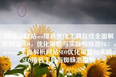 网站seo网站seo排名优化工具在线全面解析网站SEO，优化策略与实践蜘蛛池TG：zzcseo，全面解析网站SEO优化策略与实践，SEO排名工具与蜘蛛池解析