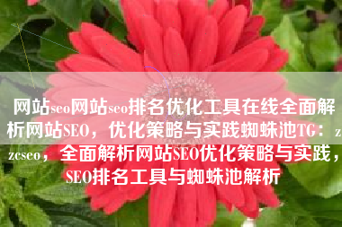 网站seo网站seo排名优化工具在线全面解析网站SEO，优化策略与实践蜘蛛池TG：zzcseo，全面解析网站SEO优化策略与实践，SEO排名工具与蜘蛛池解析