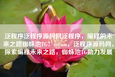 泛程序泛程序源码网泛程序，编程的未来之路蜘蛛池TG：zzcseo，泛程序源码网，探索编程未来之路，蜘蛛池TG助力发展