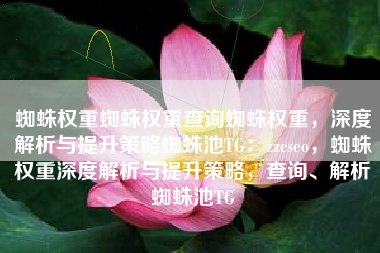 蜘蛛权重蜘蛛权重查询蜘蛛权重，深度解析与提升策略蜘蛛池TG：zzcseo，蜘蛛权重深度解析与提升策略，查询、解析蜘蛛池TG