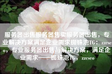 服务器出售服务器售卖服务器出售，专业解决方案满足企业需求蜘蛛池TG：zzcseo，专业服务器出售与解决方案，满足企业需求——蜘蛛池TG，zzcseo