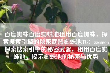 百度蜘蛛百度蜘蛛池租用百度蜘蛛，探索搜索引擎的秘密武器蜘蛛池TG：zzcseo，探索搜索引擎的秘密武器，租用百度蜘蛛池，揭示蜘蛛池的秘密与优势