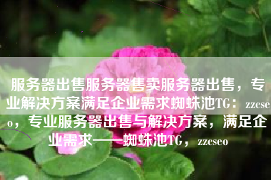 服务器出售服务器售卖服务器出售，专业解决方案满足企业需求蜘蛛池TG：zzcseo，专业服务器出售与解决方案，满足企业需求——蜘蛛池TG，zzcseo