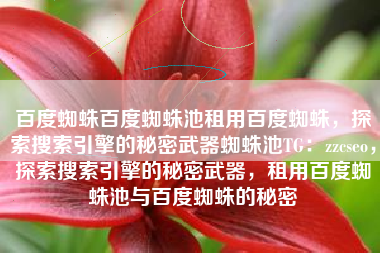 百度蜘蛛百度蜘蛛池租用百度蜘蛛，探索搜索引擎的秘密武器蜘蛛池TG：zzcseo，探索搜索引擎的秘密武器，租用百度蜘蛛池与百度蜘蛛的秘密