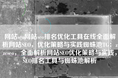 网站seo网站seo排名优化工具在线全面解析网站SEO，优化策略与实践蜘蛛池TG：zzcseo，全面解析网站SEO优化策略与实践，SEO排名工具与蜘蛛池解析