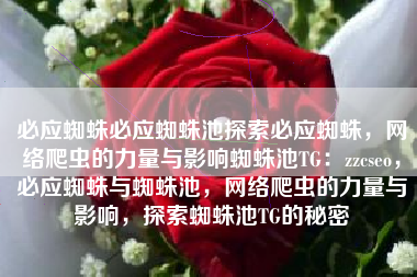 必应蜘蛛必应蜘蛛池探索必应蜘蛛，网络爬虫的力量与影响蜘蛛池TG：zzcseo，必应蜘蛛与蜘蛛池，网络爬虫的力量与影响，探索蜘蛛池TG的秘密