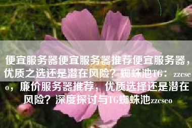便宜服务器便宜服务器推荐便宜服务器，优质之选还是潜在风险？蜘蛛池TG：zzcseo，廉价服务器推荐，优质选择还是潜在风险？深度探讨与TG蜘蛛池zzcseo