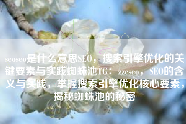 seoseo是什么意思SEO，搜索引擎优化的关键要素与实践蜘蛛池TG：zzcseo，SEO的含义与实践，掌握搜索引擎优化核心要素，揭秘蜘蛛池的秘密