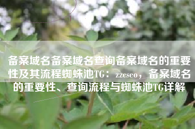 备案域名备案域名查询备案域名的重要性及其流程蜘蛛池TG：zzcseo，备案域名的重要性、查询流程与蜘蛛池TG详解