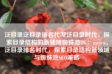泛目录泛目录排名代发泛目录时代，探索目录结构的新领域蜘蛛池TG：zzcseo，泛目录排名时代，探索目录结构新领域与蜘蛛池SEO策略