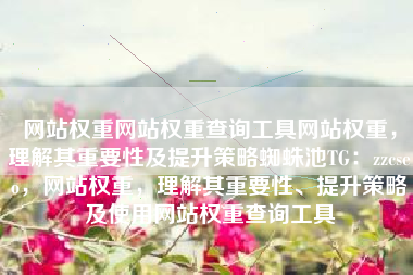 网站权重网站权重查询工具网站权重，理解其重要性及提升策略蜘蛛池TG：zzcseo，网站权重，理解其重要性、提升策略及使用网站权重查询工具