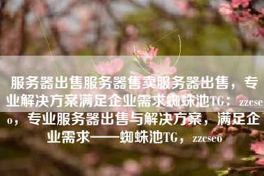 服务器出售服务器售卖服务器出售，专业解决方案满足企业需求蜘蛛池TG：zzcseo，专业服务器出售与解决方案，满足企业需求——蜘蛛池TG，zzcseo