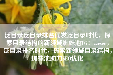 泛目录泛目录排名代发泛目录时代，探索目录结构的新领域蜘蛛池TG：zzcseo，泛目录排名时代，探索新领域目录结构，蜘蛛池助力SEO优化
