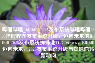 哔哩哔哩_bilibili_2025发布系统哔哩哔哩2050哔哩哔哩发布系统升级，迈向未来的Bilibili 2025发布系统蜘蛛池TG：zzcseo，Bilibili迈向未来，2025发布系统升级与蜘蛛池TG新动向