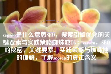 seoseo是什么意思SEO，搜索引擎优化的关键要素与实践策略蜘蛛池TG：zzcseo，SEO的秘密，关键要素、实践策略与蜘蛛池的理解，了解seoseo的真正含义