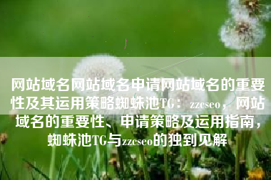 网站域名网站域名申请网站域名的重要性及其运用策略蜘蛛池TG：zzcseo，网站域名的重要性、申请策略及运用指南，蜘蛛池TG与zzcseo的独到见解