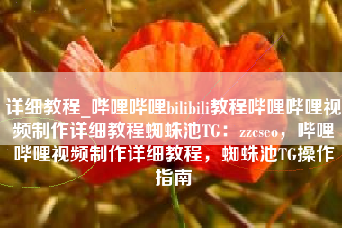 详细教程_哔哩哔哩bilibili教程哔哩哔哩视频制作详细教程蜘蛛池TG：zzcseo，哔哩哔哩视频制作详细教程，蜘蛛池TG操作指南